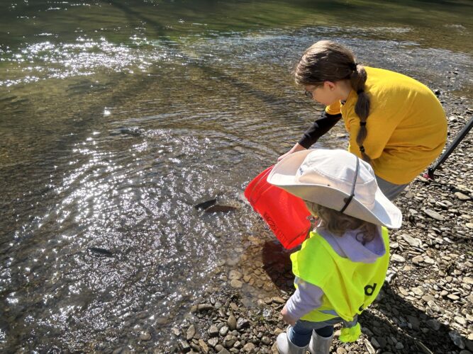 Elm Grove Students Get Hands-On Earth Day Experience
